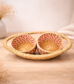 Double Compartment Tray